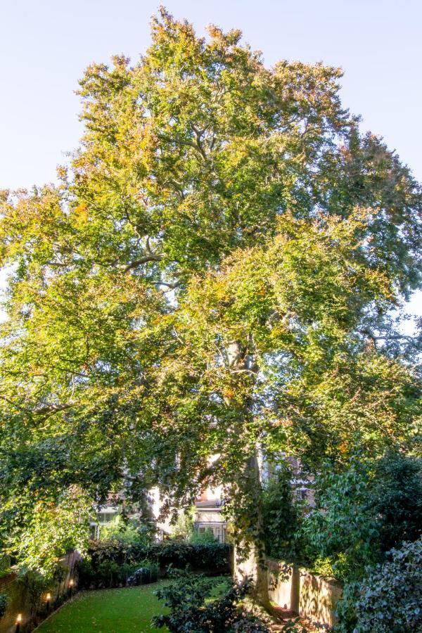 Bed and Breakfast The Old Beech Amberes Exterior foto